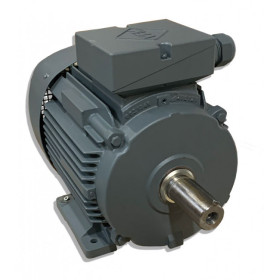 Moteur W41R 132  SX2 7.5/2 B3 + ROULEMENTS - 25092246