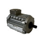 Moteur électrique CM29G/T-0.90/0.45KW-8P - 25080604
