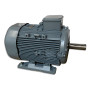 Moteur électrique Q3H 160 M4C40 11/4 B3 - 25090745