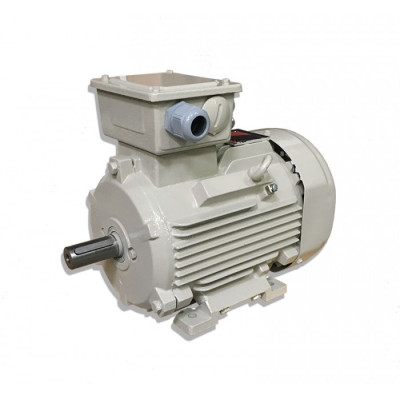 Moteur SM2-100 L4-IE2 2.2/4 - 25090507