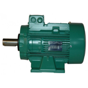 Moteur électrique LS 132 7.5/2 - 25090549