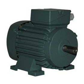 Moteur électrique K21R 80 G8 0.18/0.7/8 - 25090290