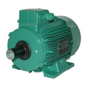 Moteur électrique LS 100 2.2/4 - 25090525