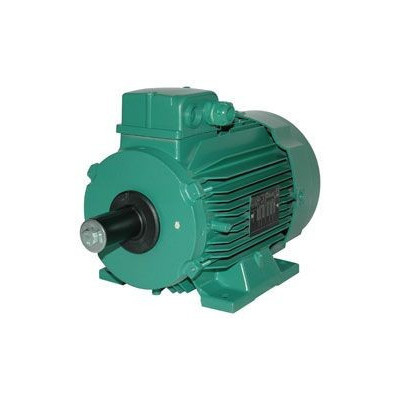 Moteur électrique LS 100 2.2/4 - 25090525