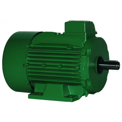 Moteur électrique LS 112 4.0/4 - 25090540