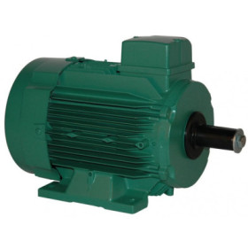 Moteur électrique LS 100 3.0/4 - 25090535