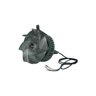 Ventilateur air chaud R2E150-AG52-09 - 13390004