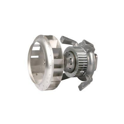 Ventilateur air chaud R2D225-AG02-12 - 13390035