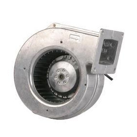 Ventilateur centrifuge G2E120-AR38-01 - 13410043