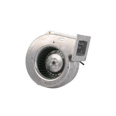 Ventilateur centrifuge G2E120-AR38-01 - 13410043