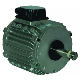 Moteur électrique CF29-0.37KW-8P - 25080824