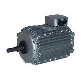 Moteur électrique CM29G/T-0.55KW-8P - 25080834