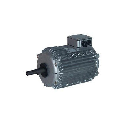 Moteur électrique CM29G/T-0.55KW-8P - 25080834