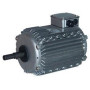 Moteur électrique CM29G/T-0.55KW-8P - 25080834