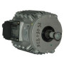 Moteur électrique CM29 T-0.55KW-8P - 25080835