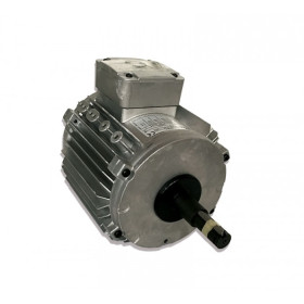 Moteur électrique CM29G/T-0.15KW-12P - 25081021