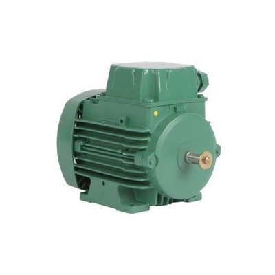 Moteur électrique LS 56 0.12/4 - 25090105