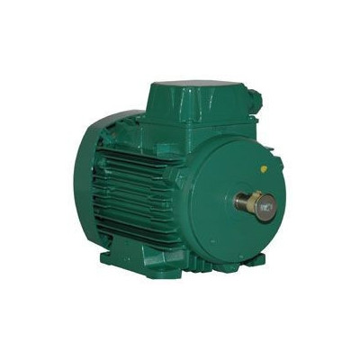 Moteur électrique LS 71 0.25/4 230V - 25090210