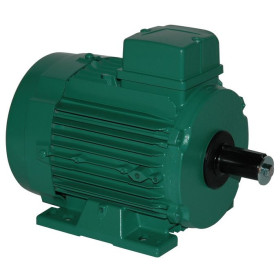 Moteur électrique LS 90 0.55/8 - 25090425