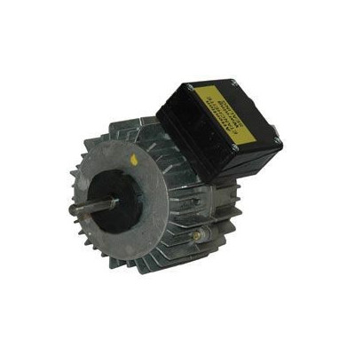 Moteur électrique TF030W04 - 26070066