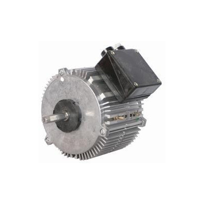 Moteur électrique TX030P06 - 26080002