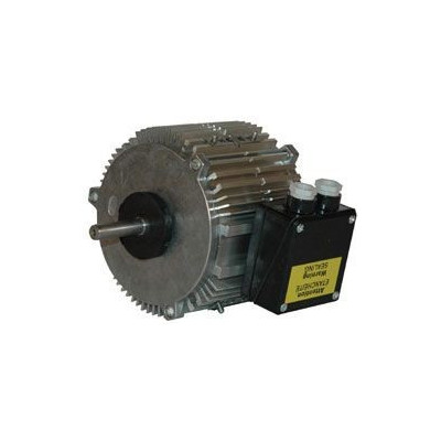 Moteur électrique TX033P04 - 26080007