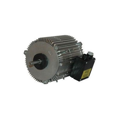 Moteur électrique TX090P04 - 26080086