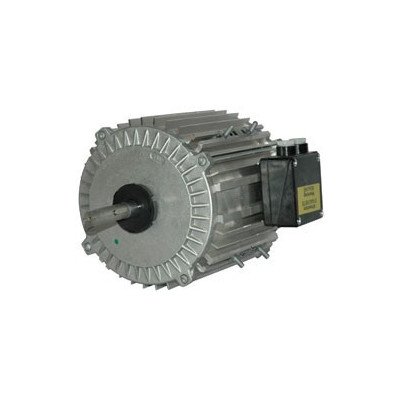 Moteur électrique TX0100L06 - 26090050