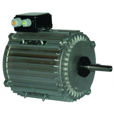 Moteur électrique TX0100L12 - 26090052