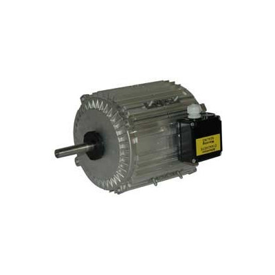 Moteur électrique TX100L12 - 26090054