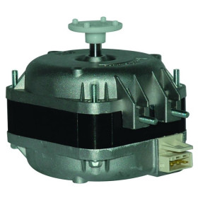 Moteur électrique VN10.20.079 CARTON COMPLET 20 - 12010046