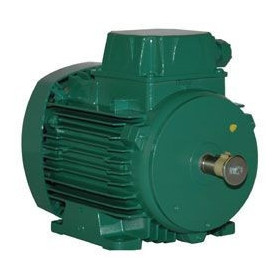 Moteur électrique LS 71 0.25/6P - 25090207