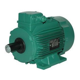 Moteur électrique LS 100 0.75/8 - 25090505