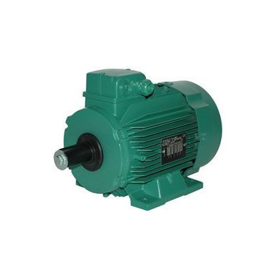 Moteur électrique LS 100 0.75/8 - 25090505