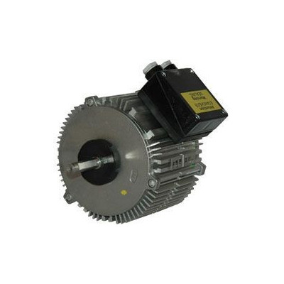 Moteur électrique TX033P06 - 26080009