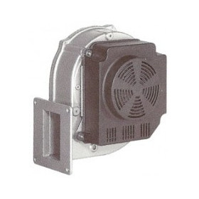 Ventilateur air chaud G1G170-AB53-03 - 13610170