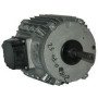Moteur électrique CM29TRI-0.18KW-8P - 25080812