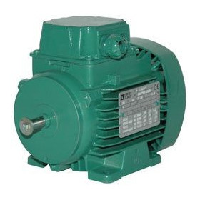 Moteur électrique LS 63 0.25/2 - 25090190