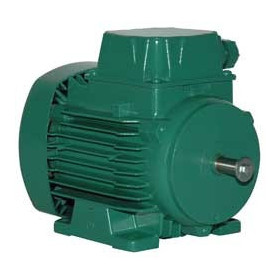 Moteur électrique LS 63 0.18/2 - 25090195