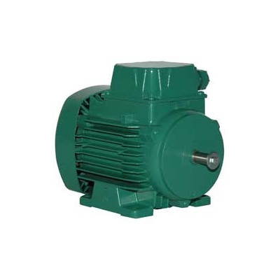 Moteur électrique LS 63 0.18/2 - 25090195