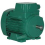 Moteur électrique LS 63 0.18/2 - 25090195