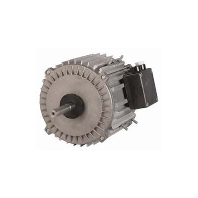 Moteur électrique TX065L06 - 26090030