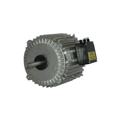 Moteur électrique TX080L04 - 26090038