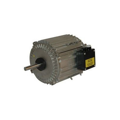 Moteur électrique TX0100L08 - 26090051