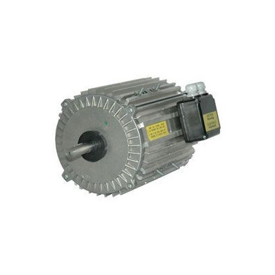 Moteur électrique TX140L06 - 26090068