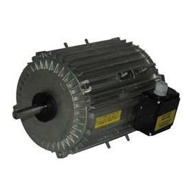 Moteur électrique TX140L06 - 26090075