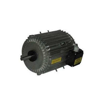 Moteur électrique TX140L06 - 26090075