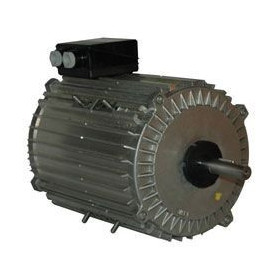 Moteur électrique TX140L06 - 26090076