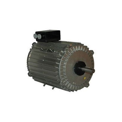 Moteur électrique TX140L06 - 26090076