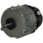 Moteur électrique MX030P08 - 26081028